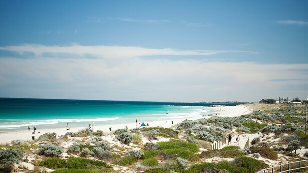 A beach with clear turquoise waters, sandy shore, and sparse vegetation. - Seashells Scarborough (Scarborough)
