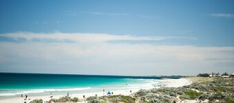 Seashells Scarborough