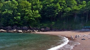 Une plage à l’eau claire, un rivage sablonneux et, en arrière-plan, une végétation luxuriante.