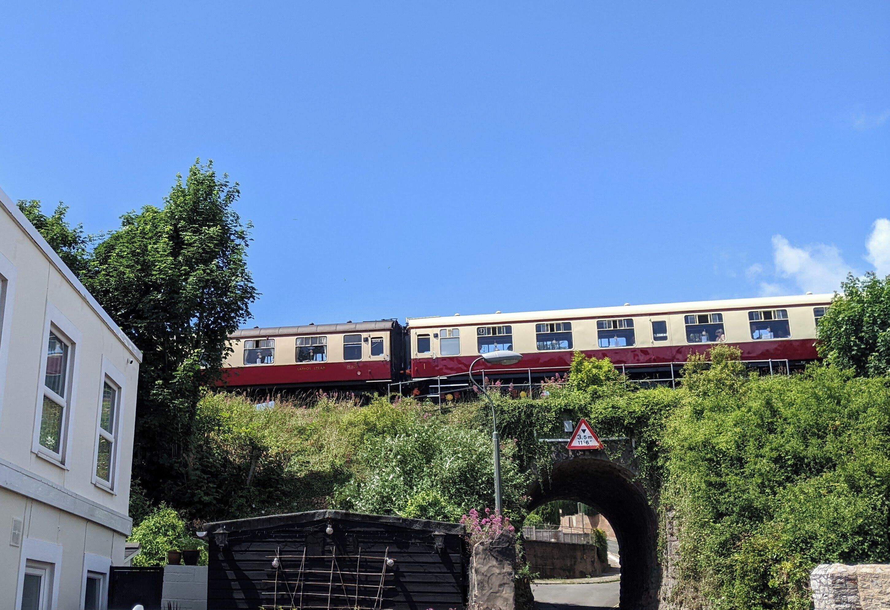 A train passing over a bridge with greenery on either side.