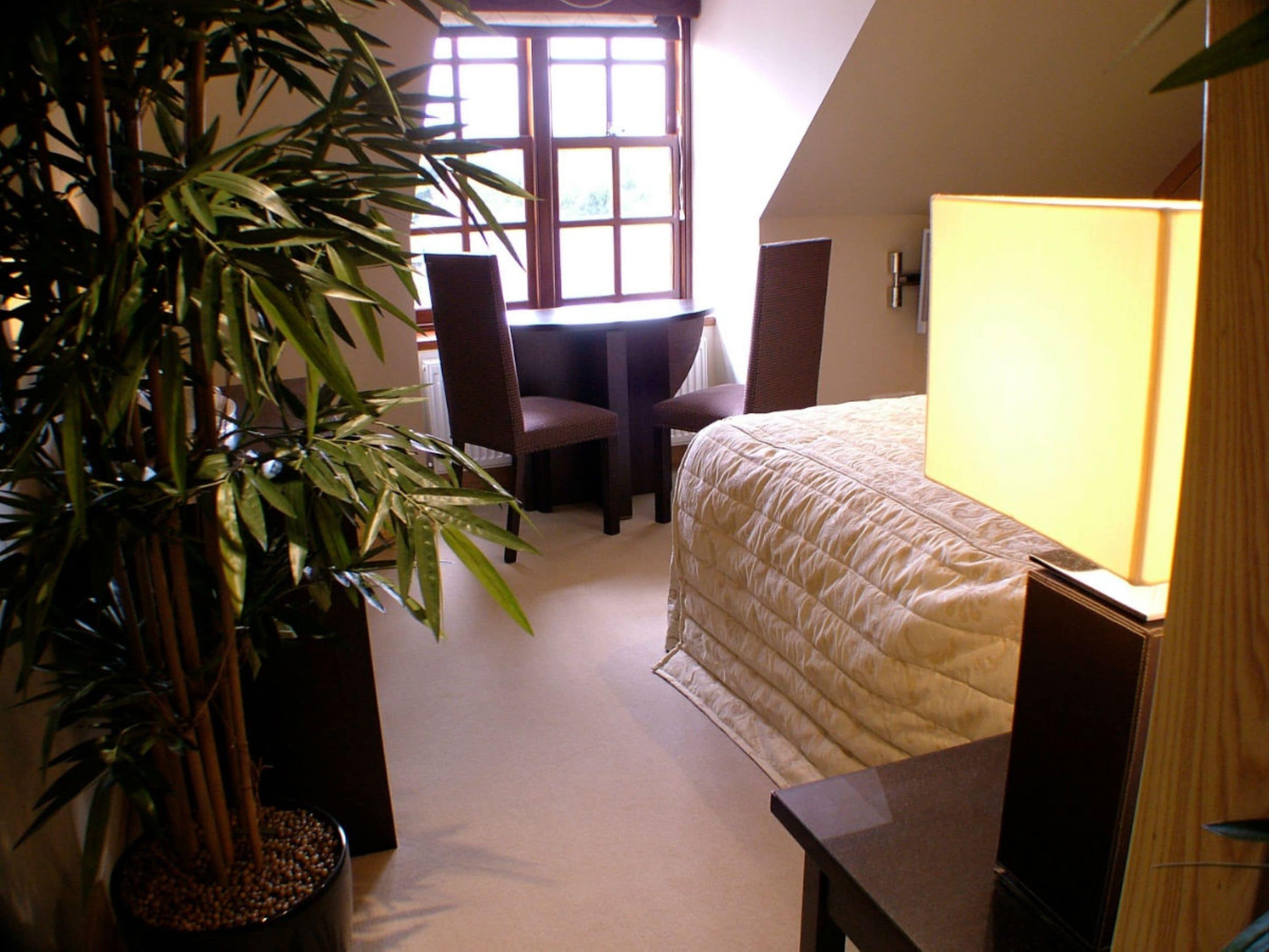 deluxe double room | hypo-allergenic bedding, desk, iron/ironing board, free wifi