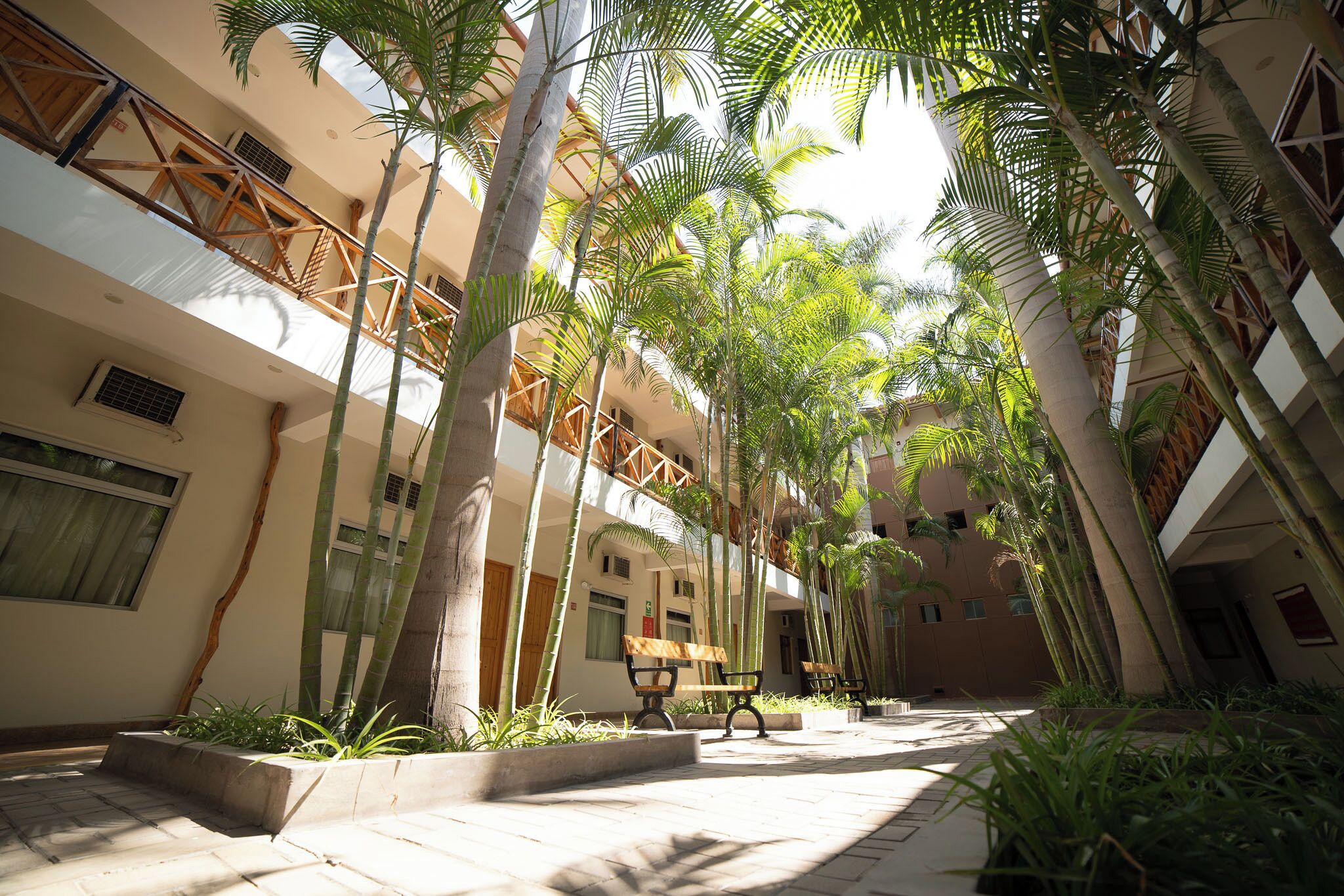 A courtyard with a central seating area, surrounded by tall palm trees and a multi-story building with balconies.