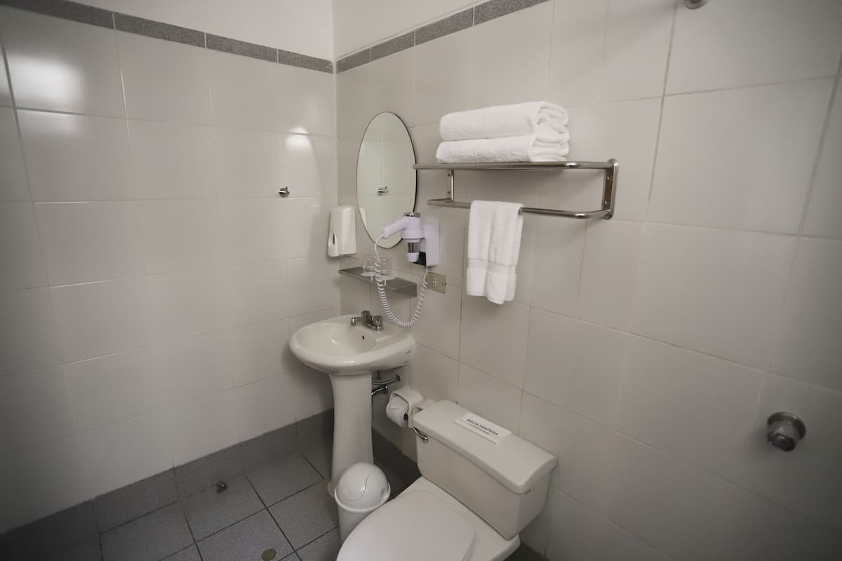 traditional double room, 1 queen bed | bathroom | shower, hair dryer, towels