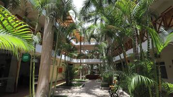 An indoor atrium with a central walkway surrounded by tall palm trees and potted plants.