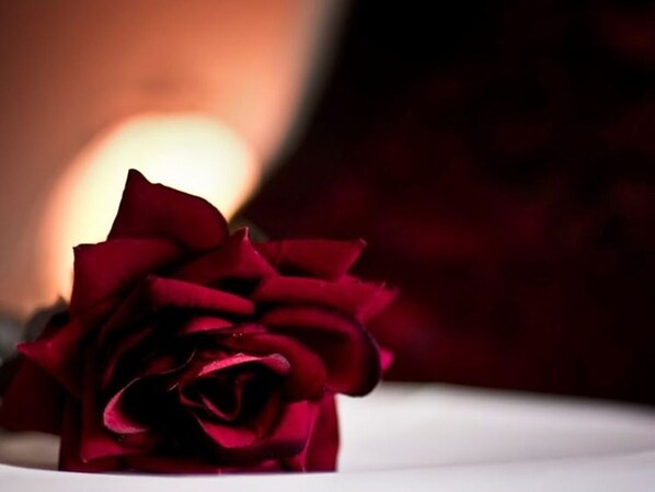 A single red rose on a white surface. - The Arches B&B (St Austell)