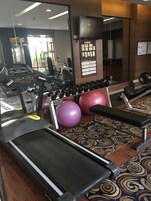 A gym with treadmills, dumbbells, exercise balls, and a bench.