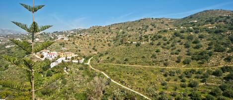 Una ladera con un sendero sinuoso, un pequeño poblado de edificios blancos y un árbol destacado en primer plano.