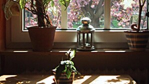 A room with a large window, a potted plant, and a small table with a decorative item. - Hotel Rosengarten Kehl (Kehl)