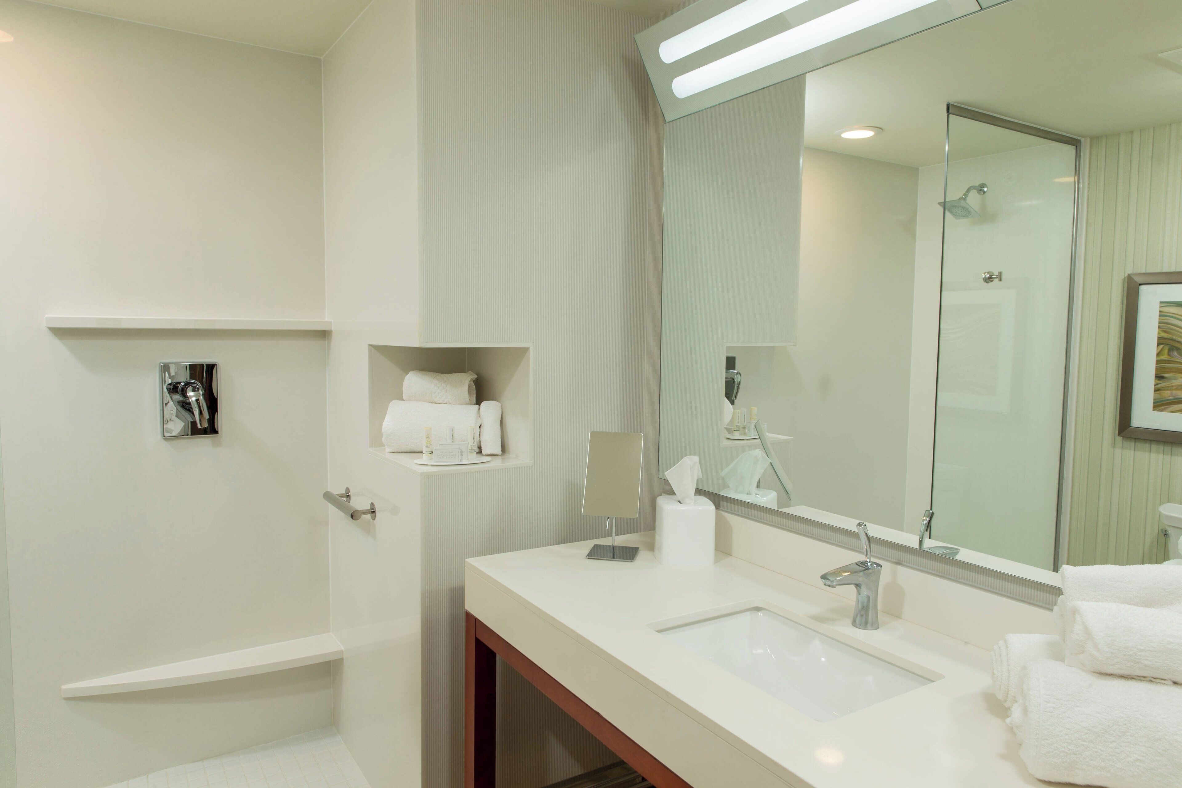 executive room, 1 king bed with sofa bed | bathroom | free toiletries, hair dryer, towels