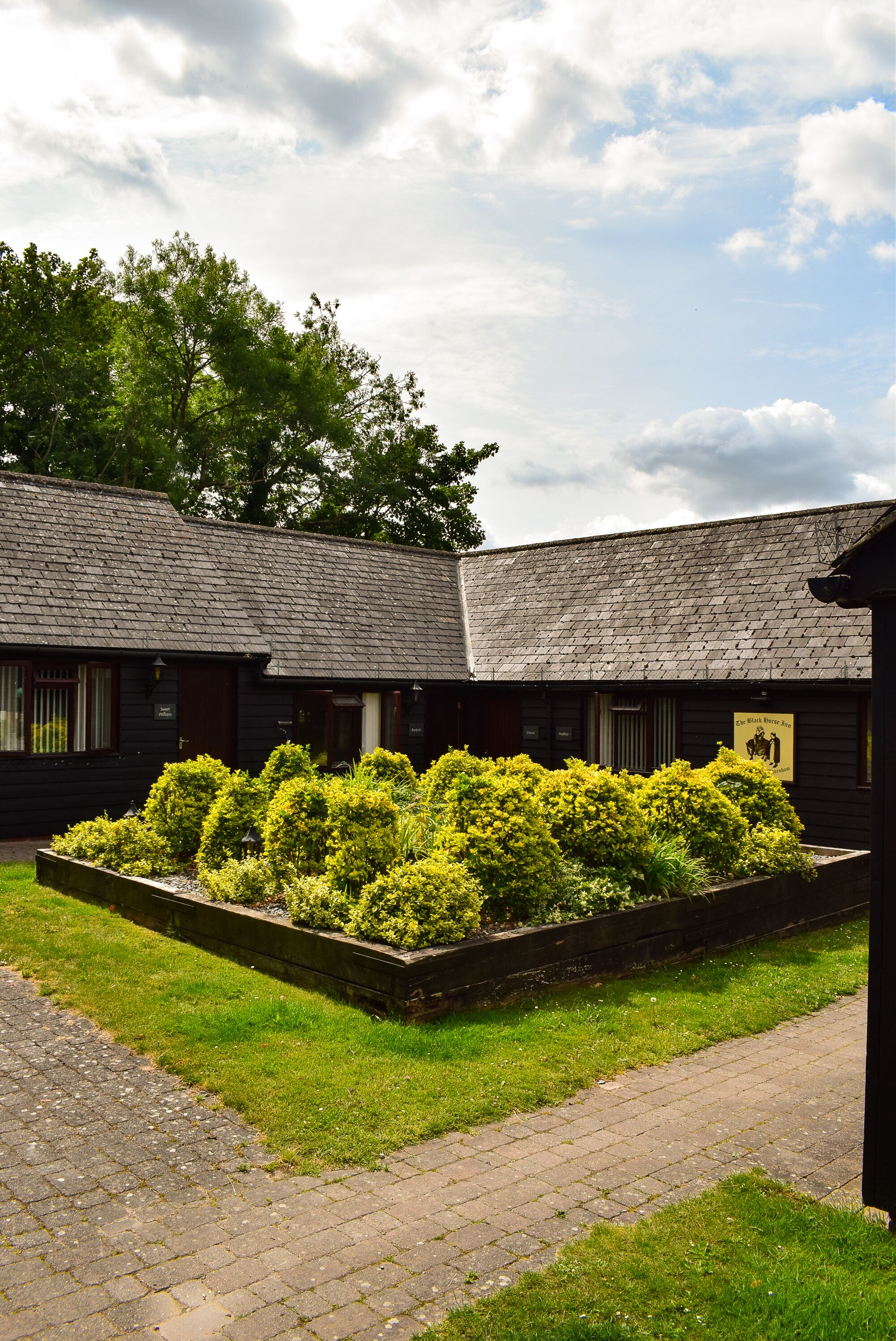 Foto - The Black Horse Inn