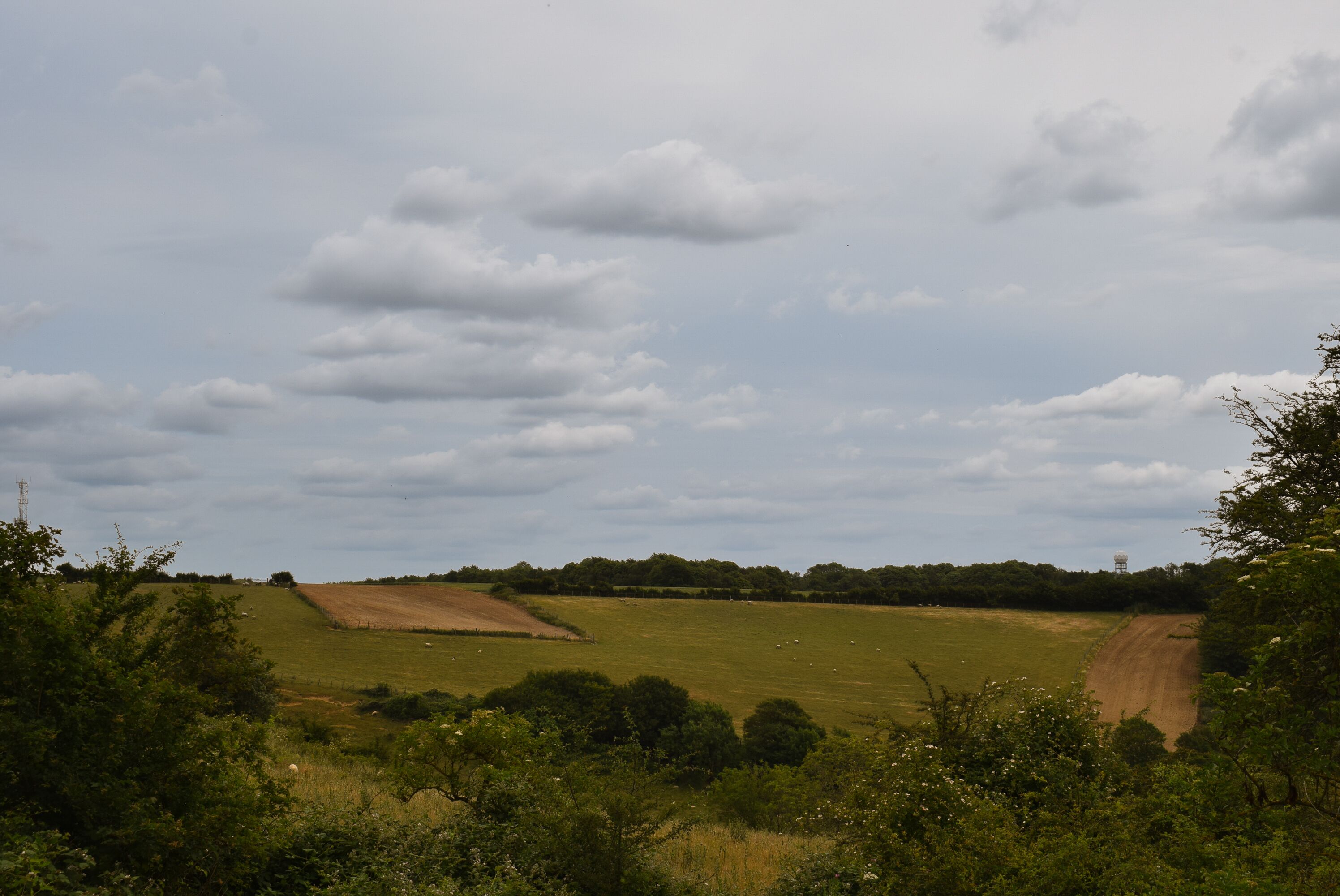 Foto - The Black Horse Inn