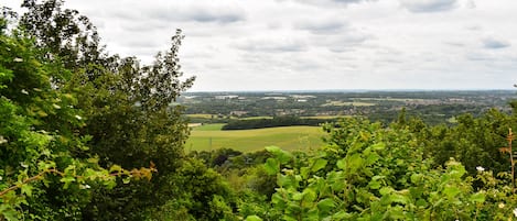 A lush green landscape with dense foliage and a distant view of a town.