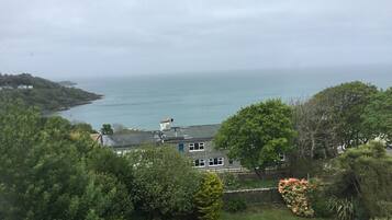 Una zona residencial costera con casas, vista al mar y abundante vegetación.