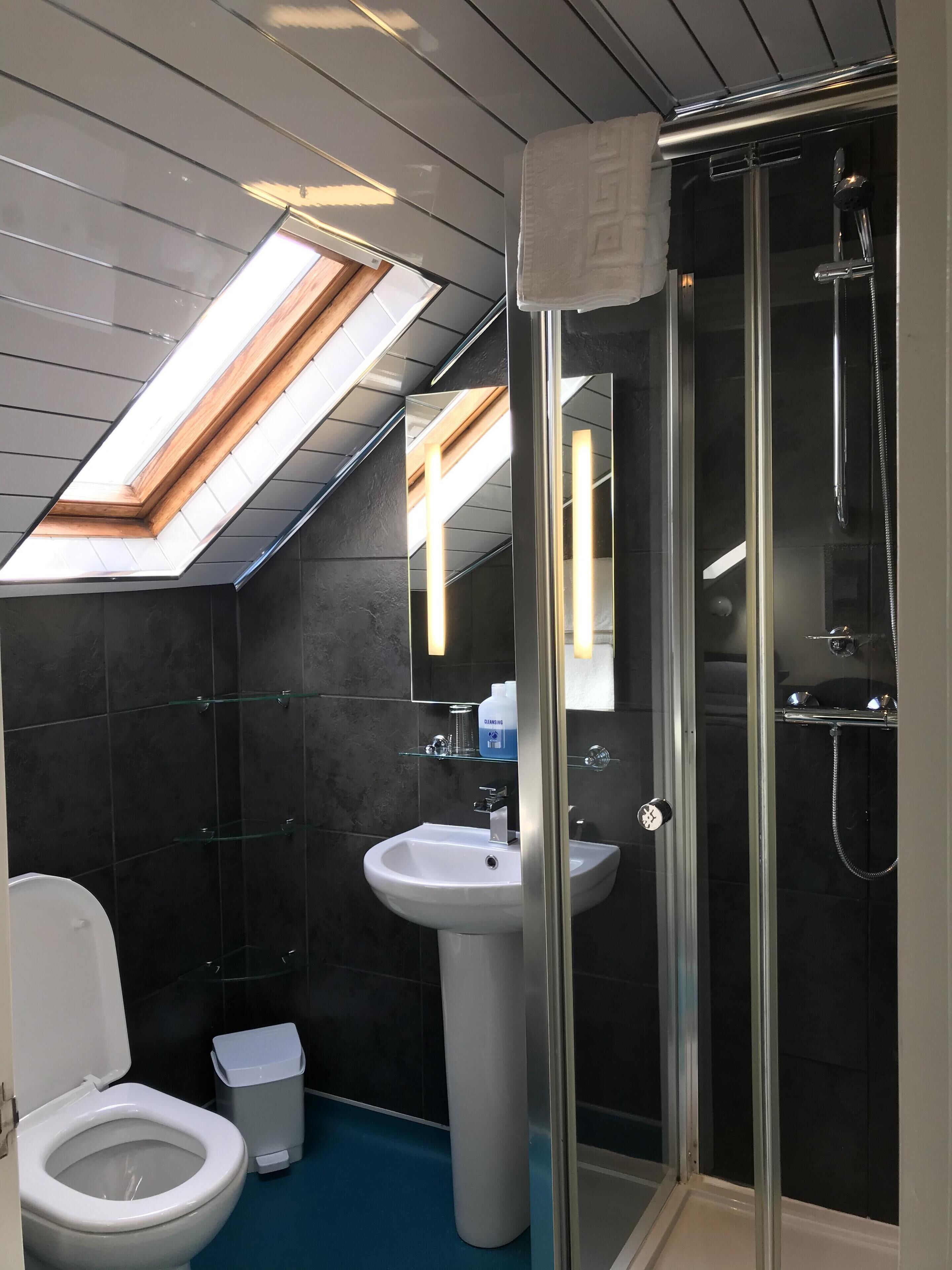 A modern bathroom with a skylight, a glass shower enclosure, a white sink, and a toilet.