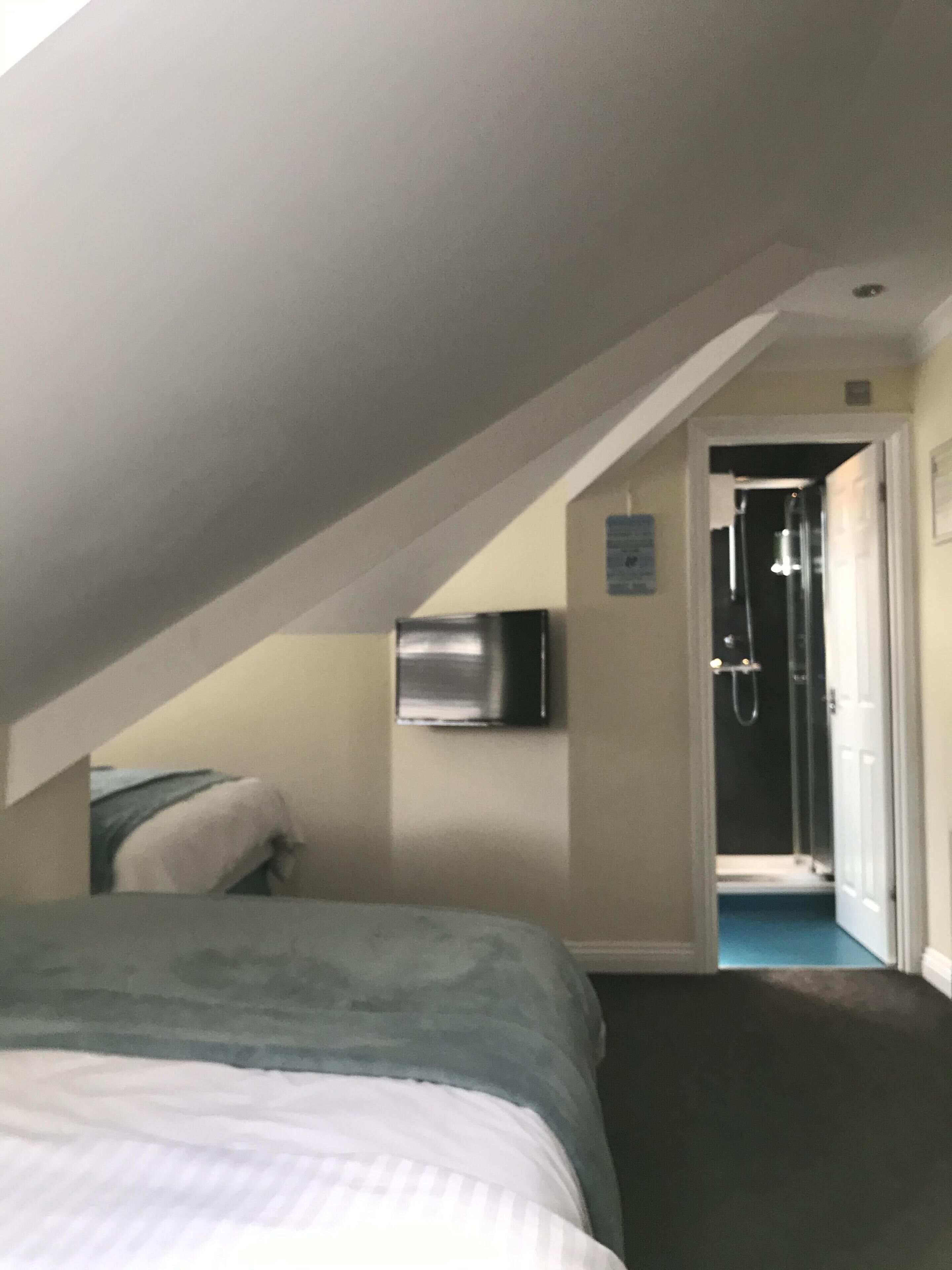 Ein Schlafzimmer mit einem Bett, einem Fernseher und einer Duschkabine.