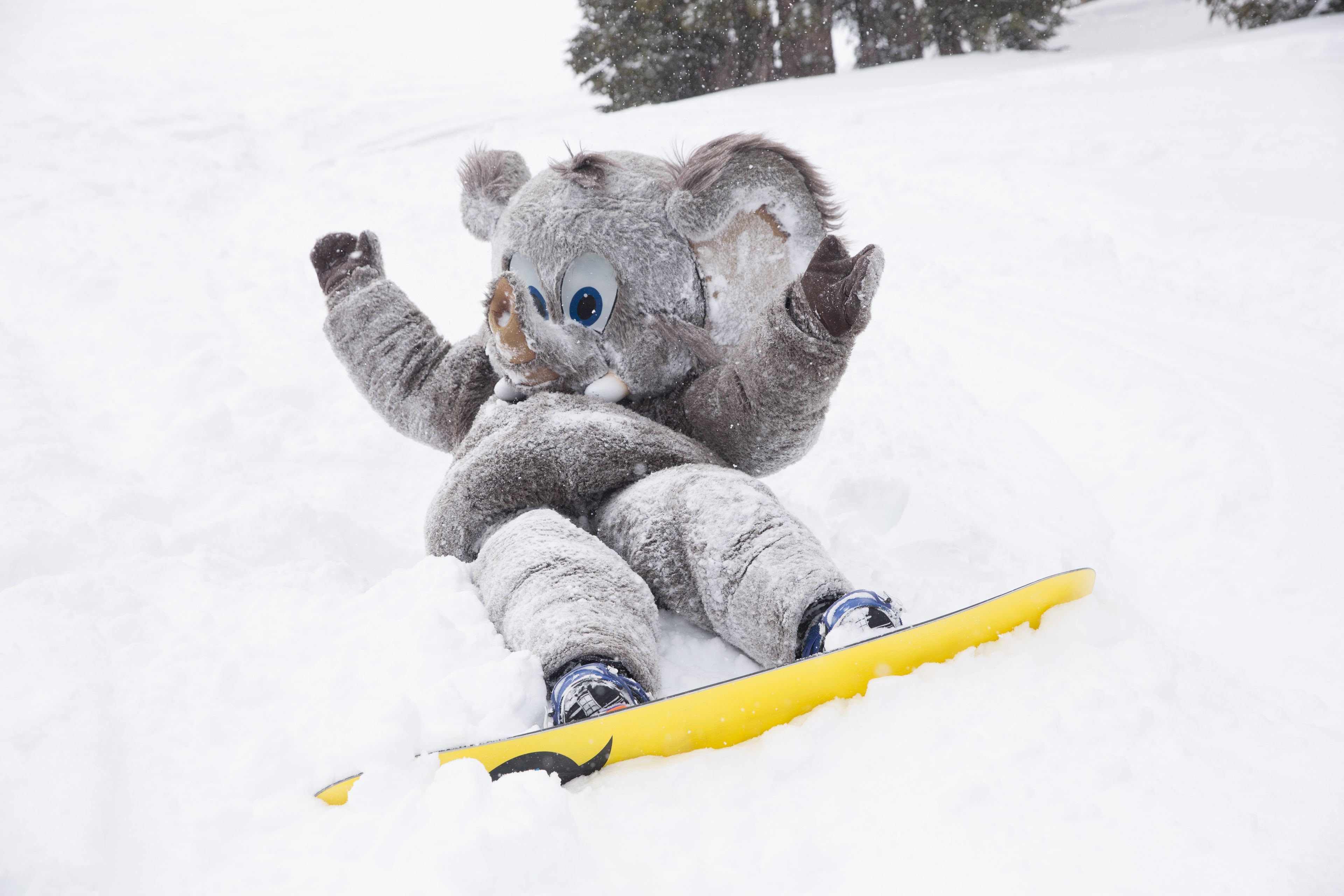 Un peluche con una tavola da snowboard in un ambiente innevato.