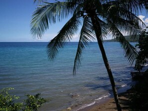 Una playa con aguas azules cristalinas, palmeras y una estructura de madera.