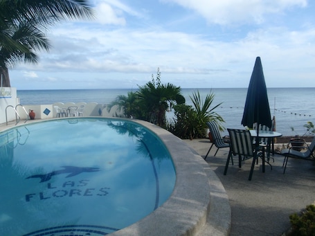 Outdoor pool, sun loungers