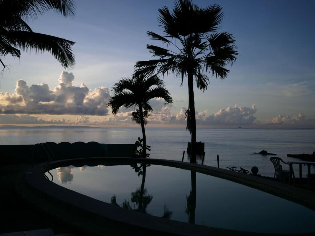 A swimming pool with a view of the sea and palm trees.