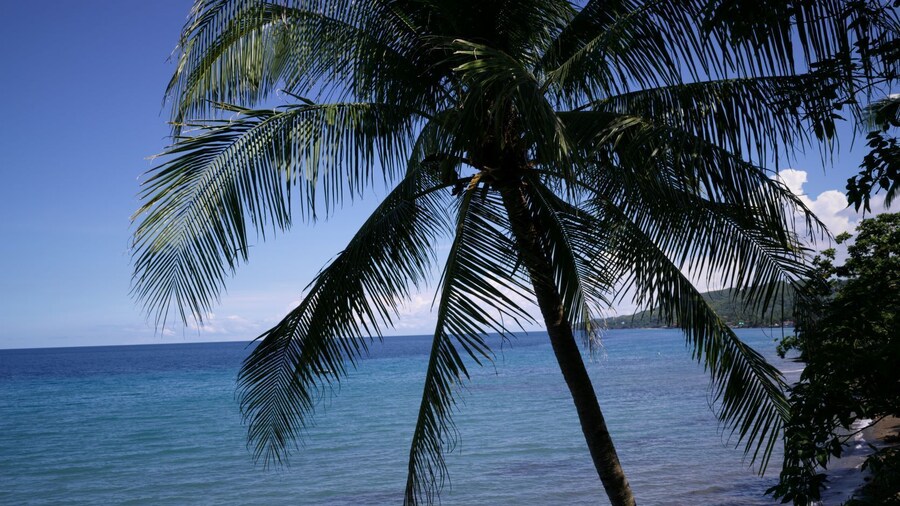 Las Flores Country & Beachside Hotel