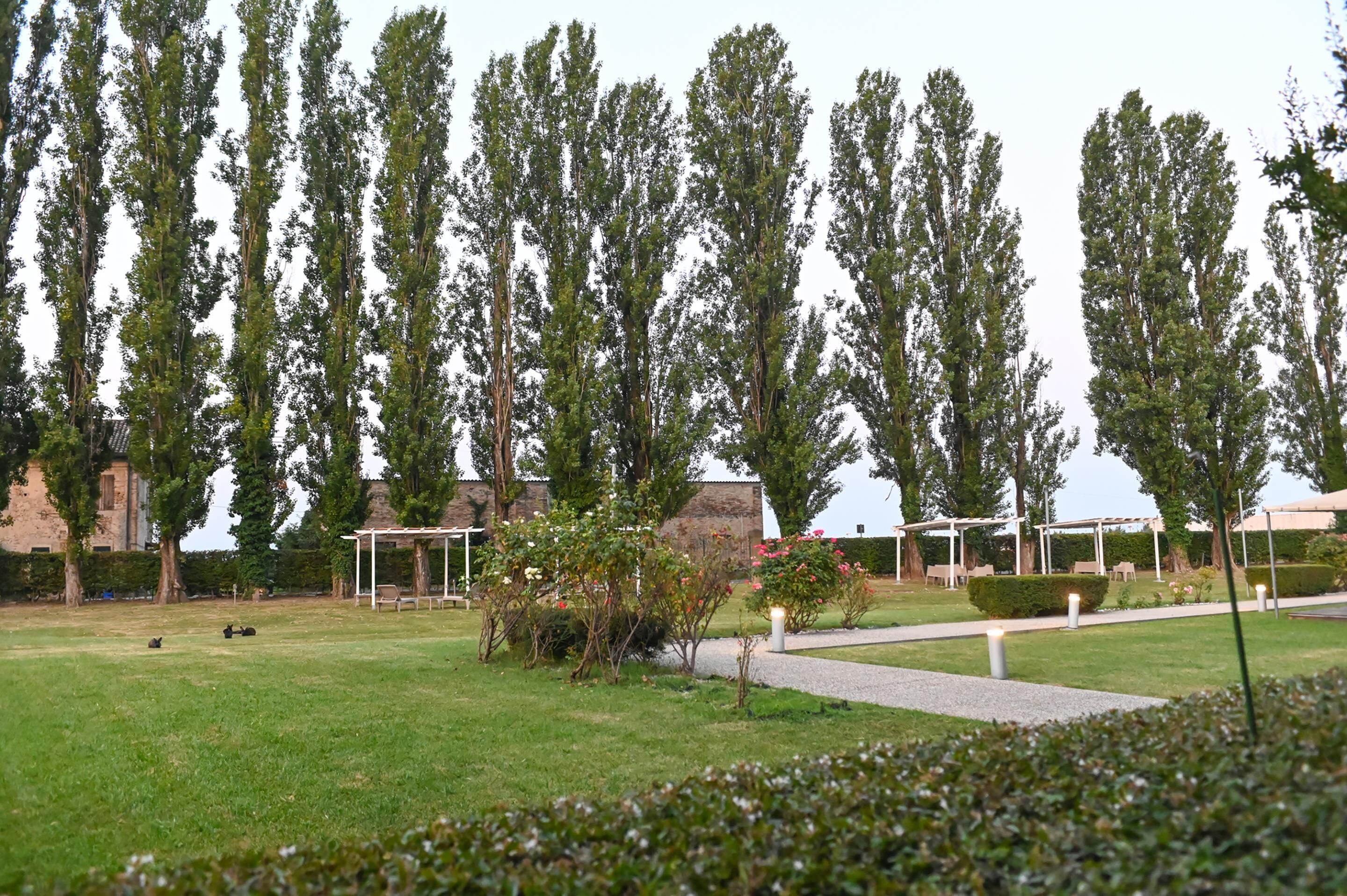 A grassy area with trees, a pathway, and a building in the background.
