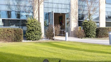 A building with large windows, a grassy area, and a black rabbit in the foreground.