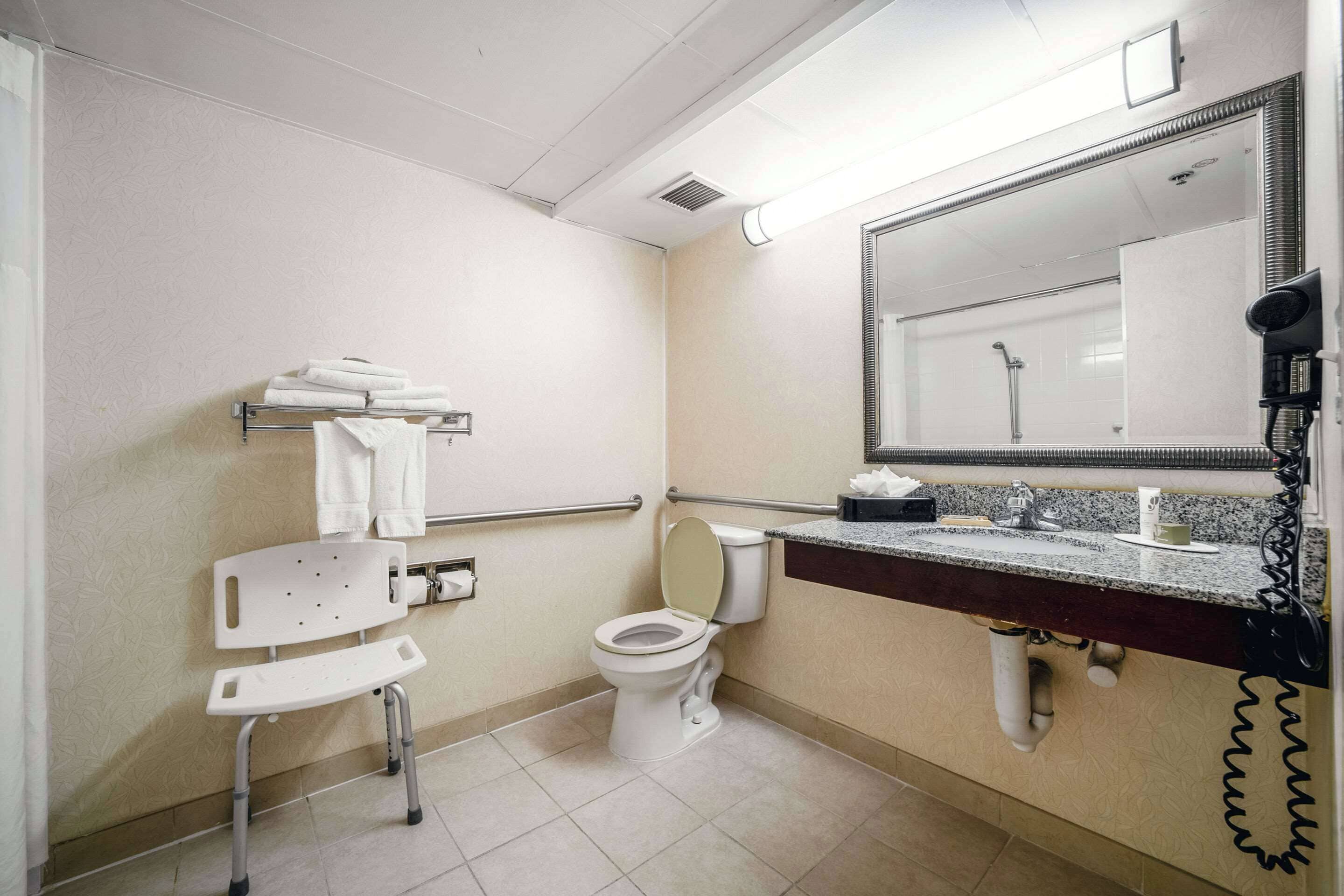 Une salle de bain équipée de toilettes, d’une barre d’appui, d’un lavabo et d’un miroir.