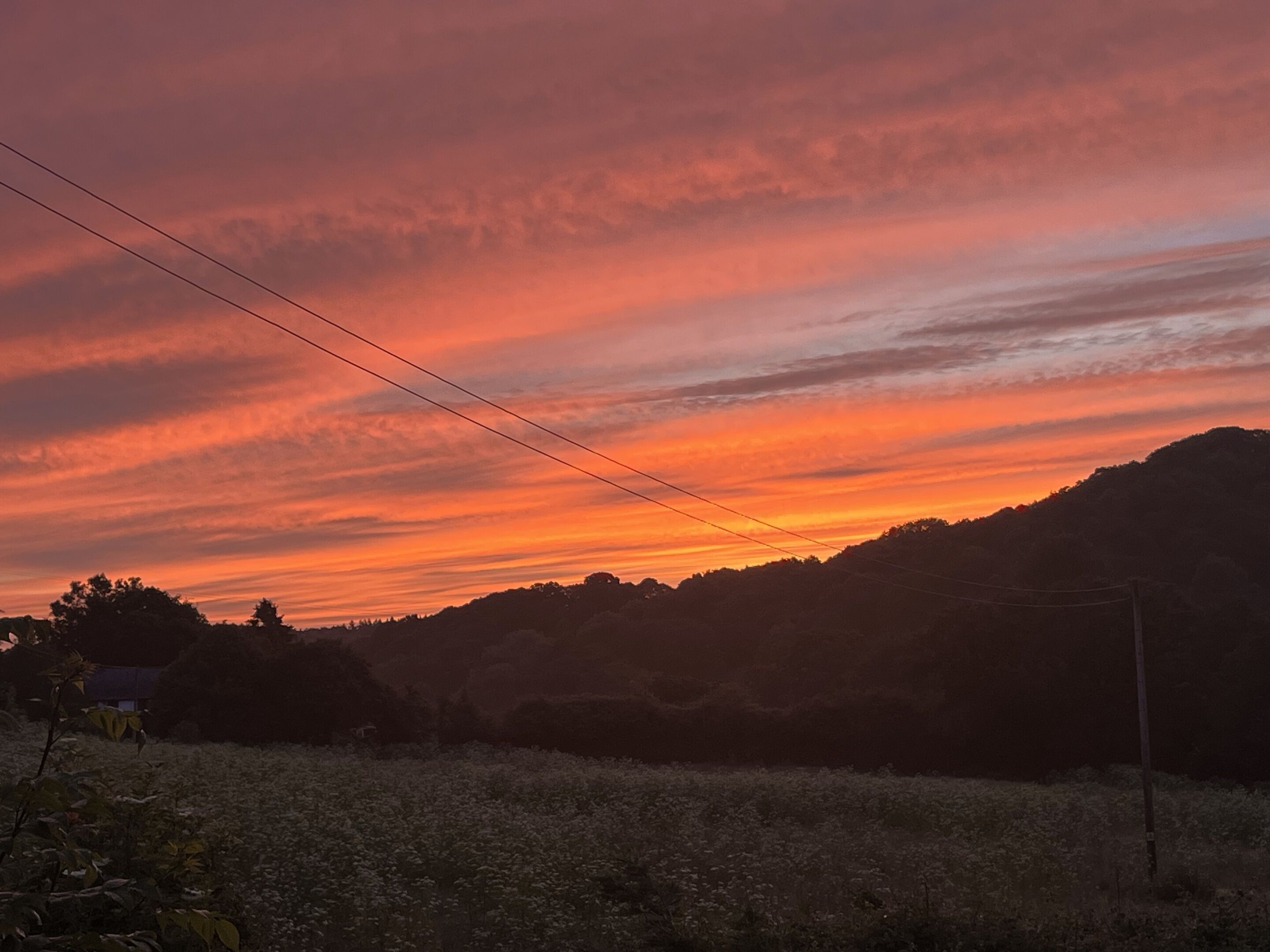 A sunset over a hilly landscape with power lines.