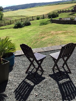 Terrace/patio - Lower Thornton Farm (Exeter)