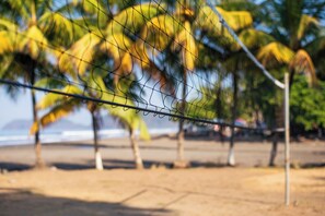 海灘、躺椅、沙灘巾、排球