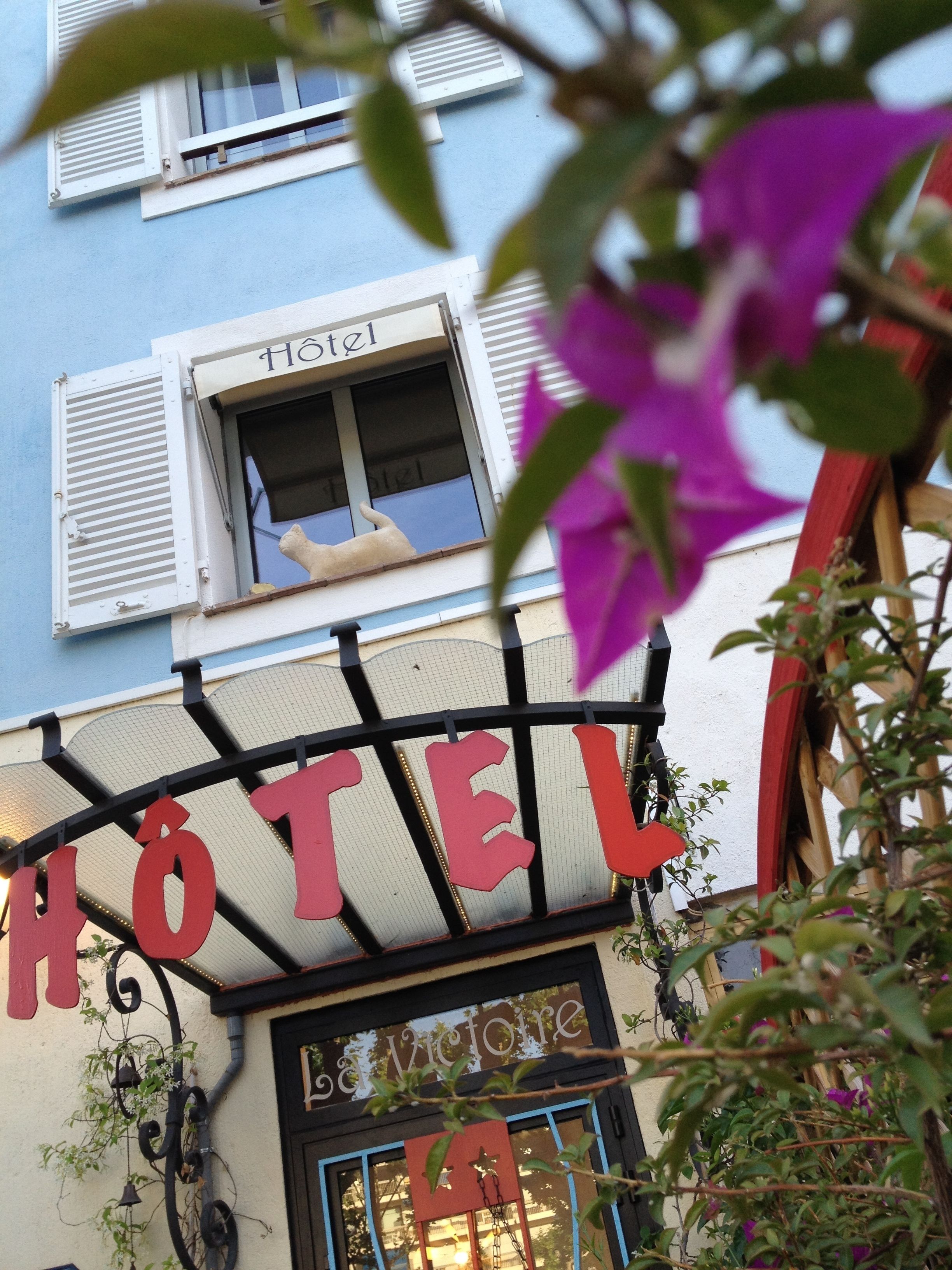 A hotel with a sign that reads "HOTEL" in large red letters, a window with a view of a cat, and a sign that says "Le Victoria".