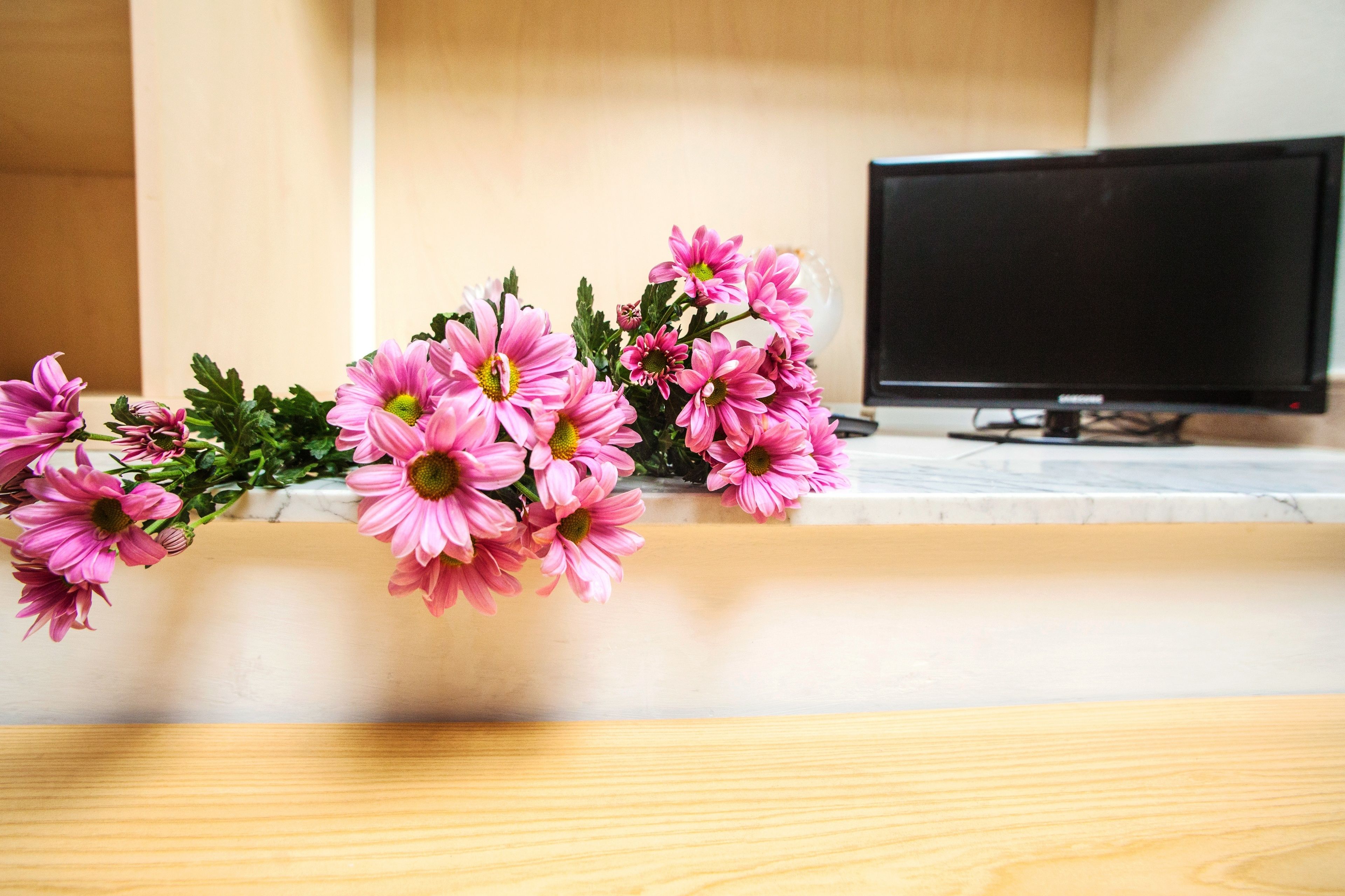 Foto - Hotel Villa Il Castagno