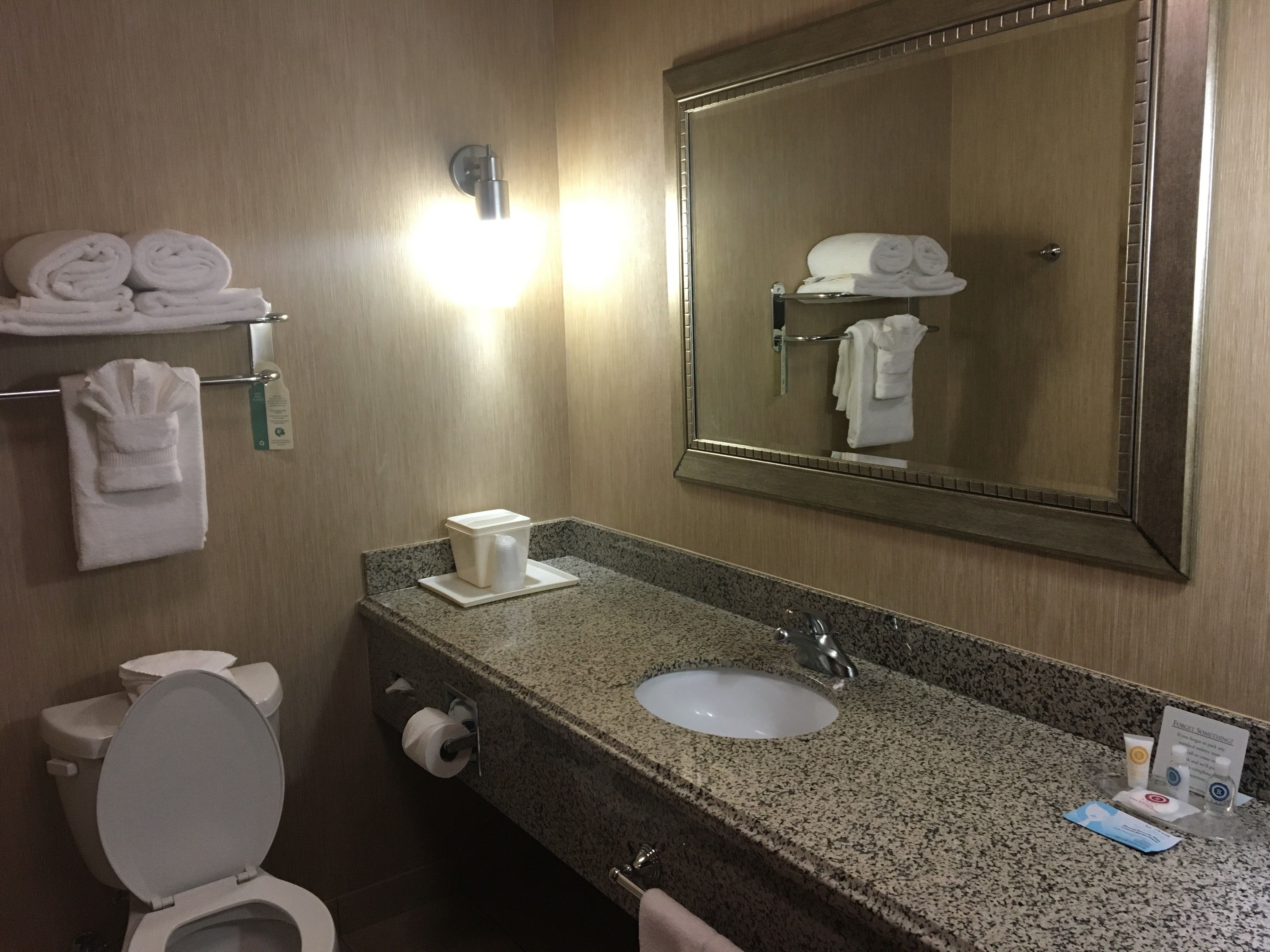 A hotel bathroom with a toilet, sink, and towel rack.