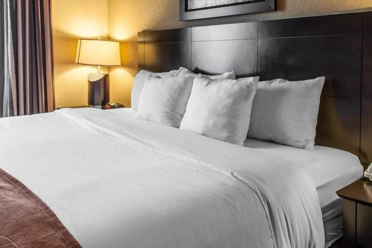 Premium bedding, pillowtop beds, in-room safe, desk