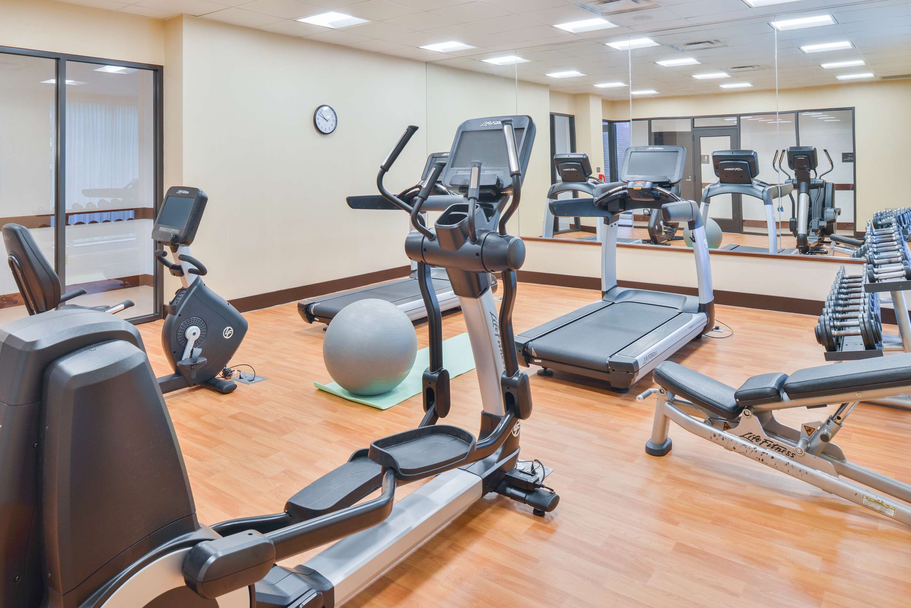 A gym with various exercise equipment including treadmills, stationary bikes, and free weights.
