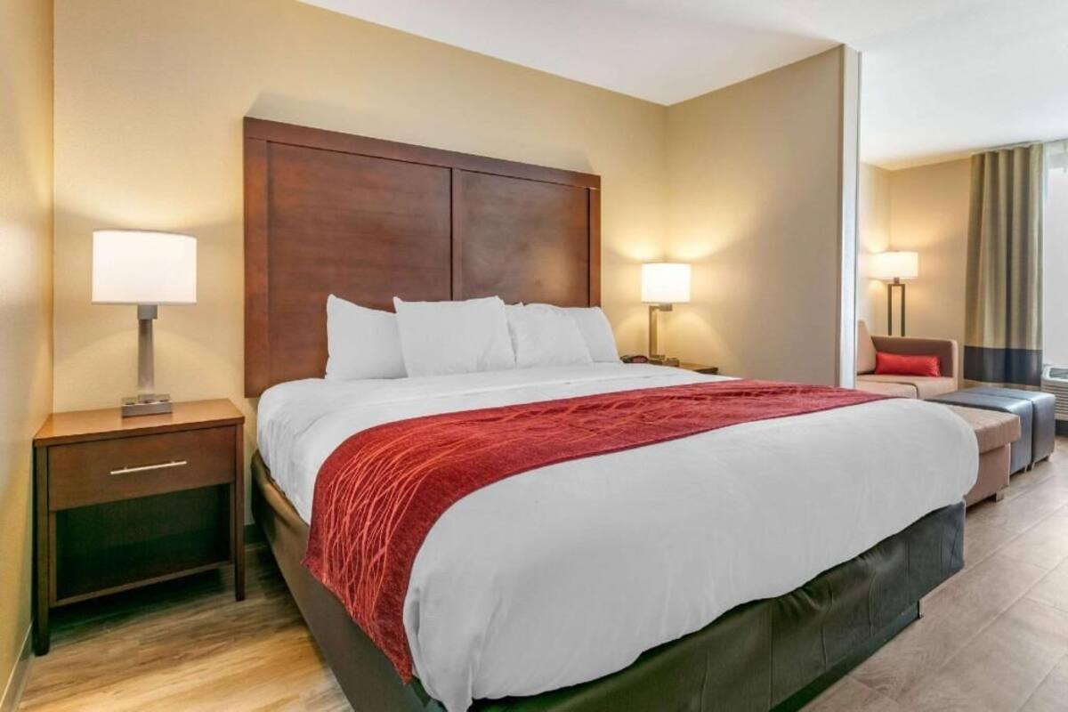 A hotel room with a large bed, two bedside tables, a nightstand, a red throw blanket, and a view of the city.