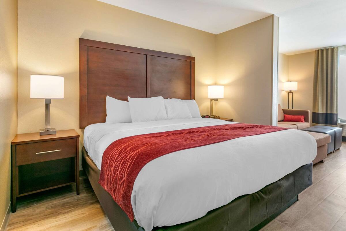 A hotel room with a large bed, two bedside tables with lamps, a nightstand, a red throw blanket, and a view of the outdoors.
