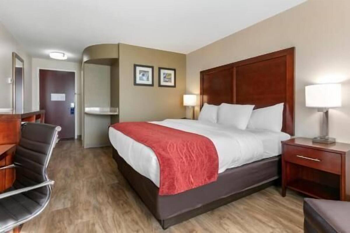 A hotel room with a bed, a desk, a chair, a nightstand, and a lamp.