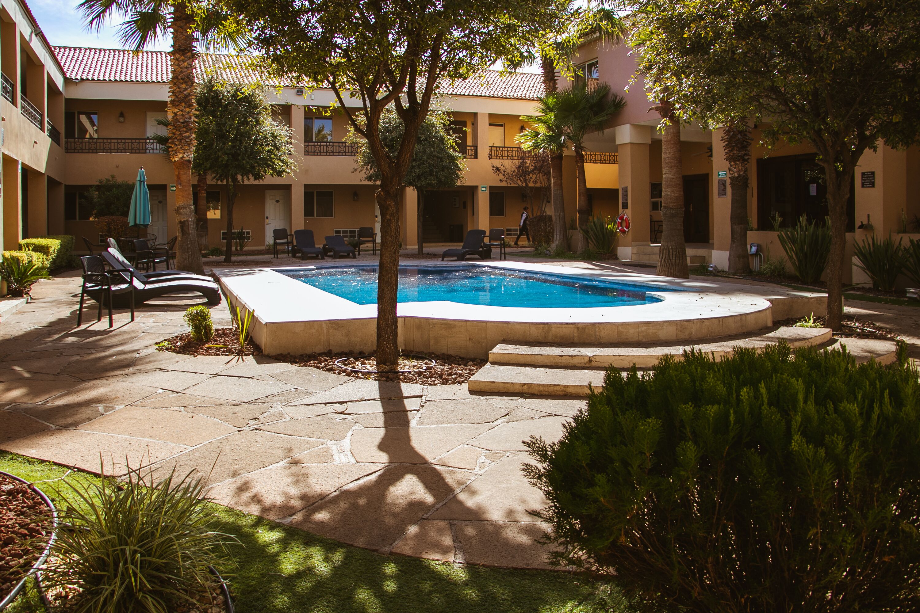 Foto - Best Western Plus Chihuahua Aeropuerto