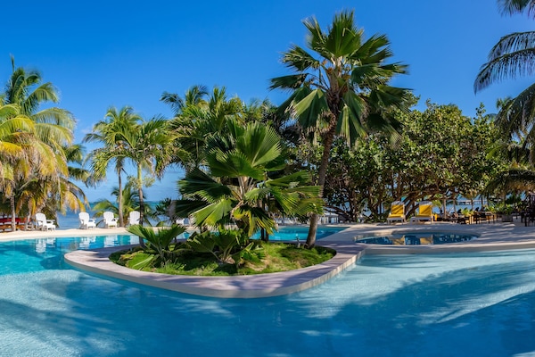 Outdoor pool, sun loungers