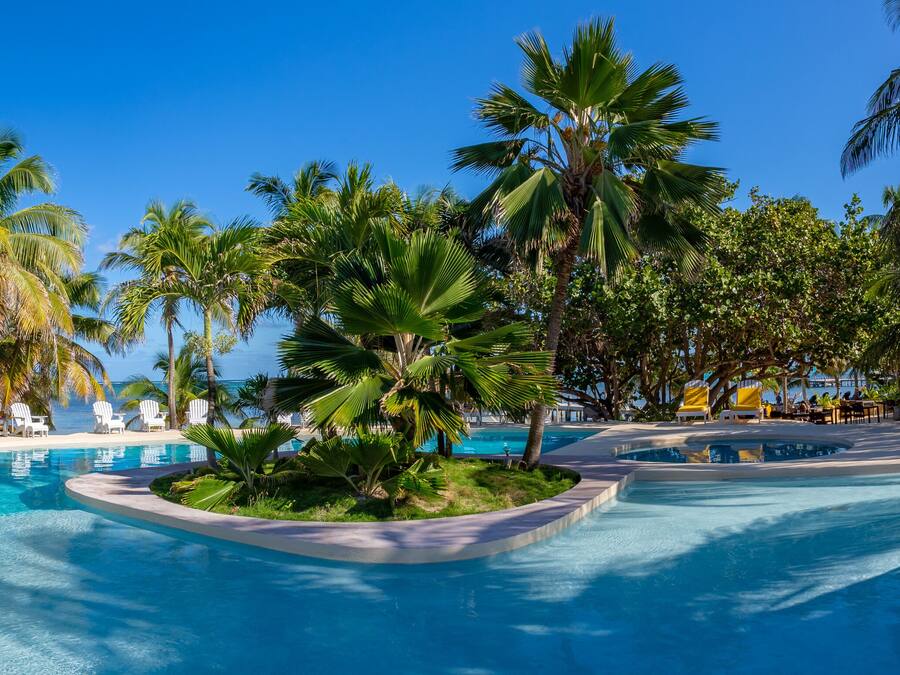 Outdoor pool, pool loungers