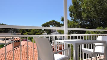 Basic Apartment, 1 Bedroom, Balcony | View from room