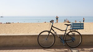 Een strand met een fiets geparkeerd aan de rand.
