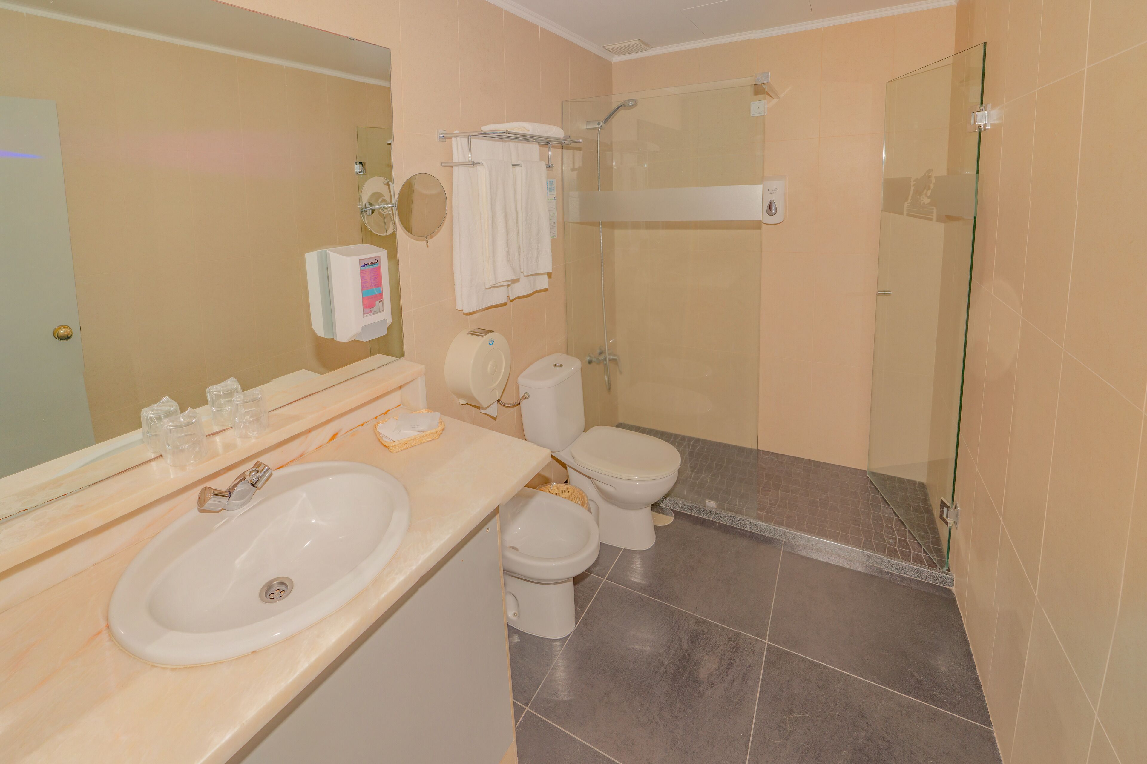 shower, rainfall showerhead, hair dryer, bidet