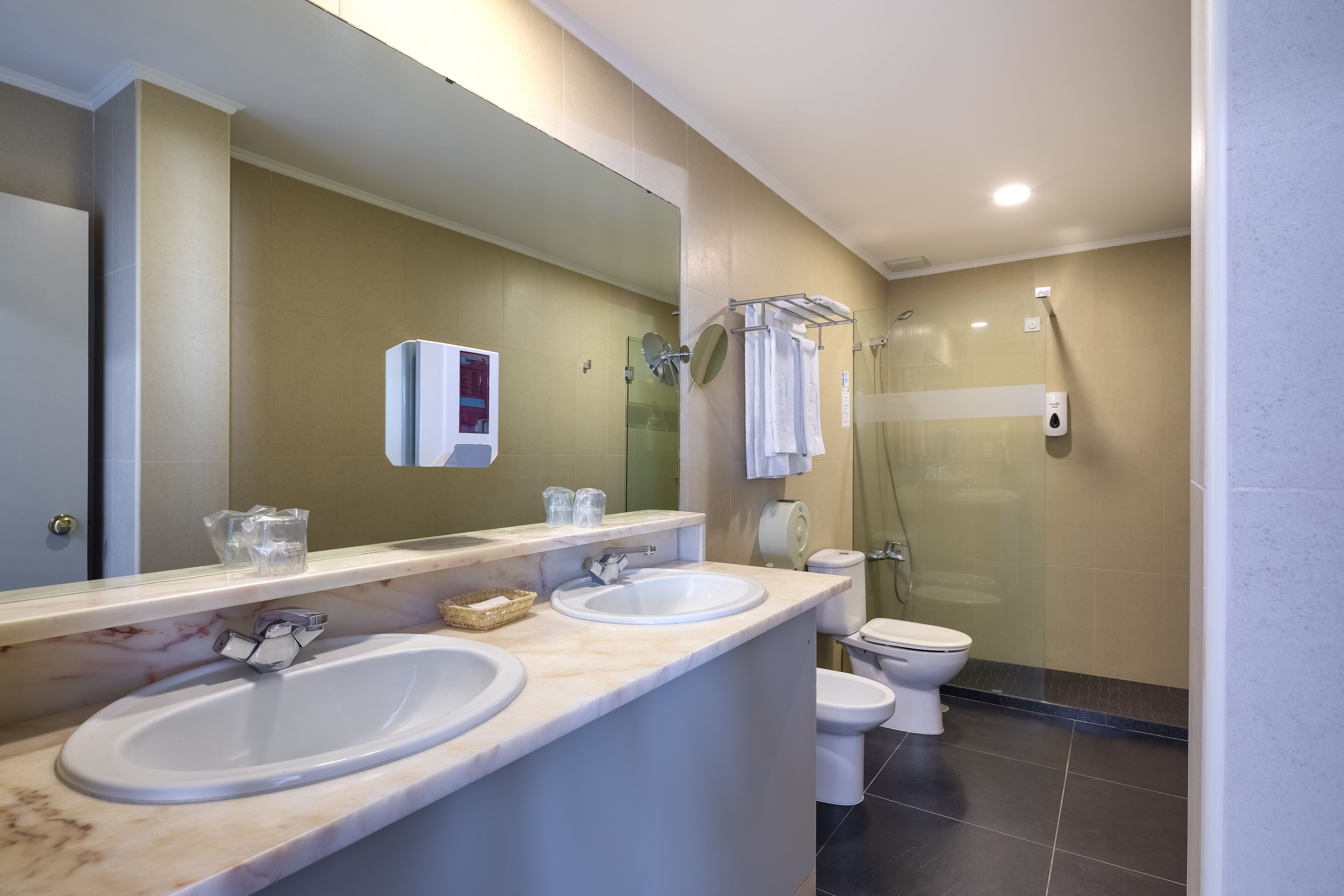 shower, rainfall showerhead, hair dryer, bidet