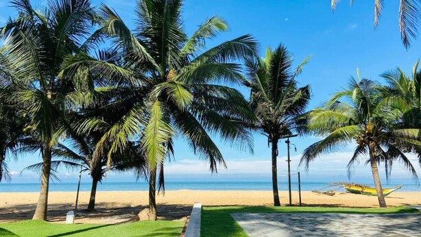 A beachside pathway with palm trees, a grassy area, and a clear view of the ocean.