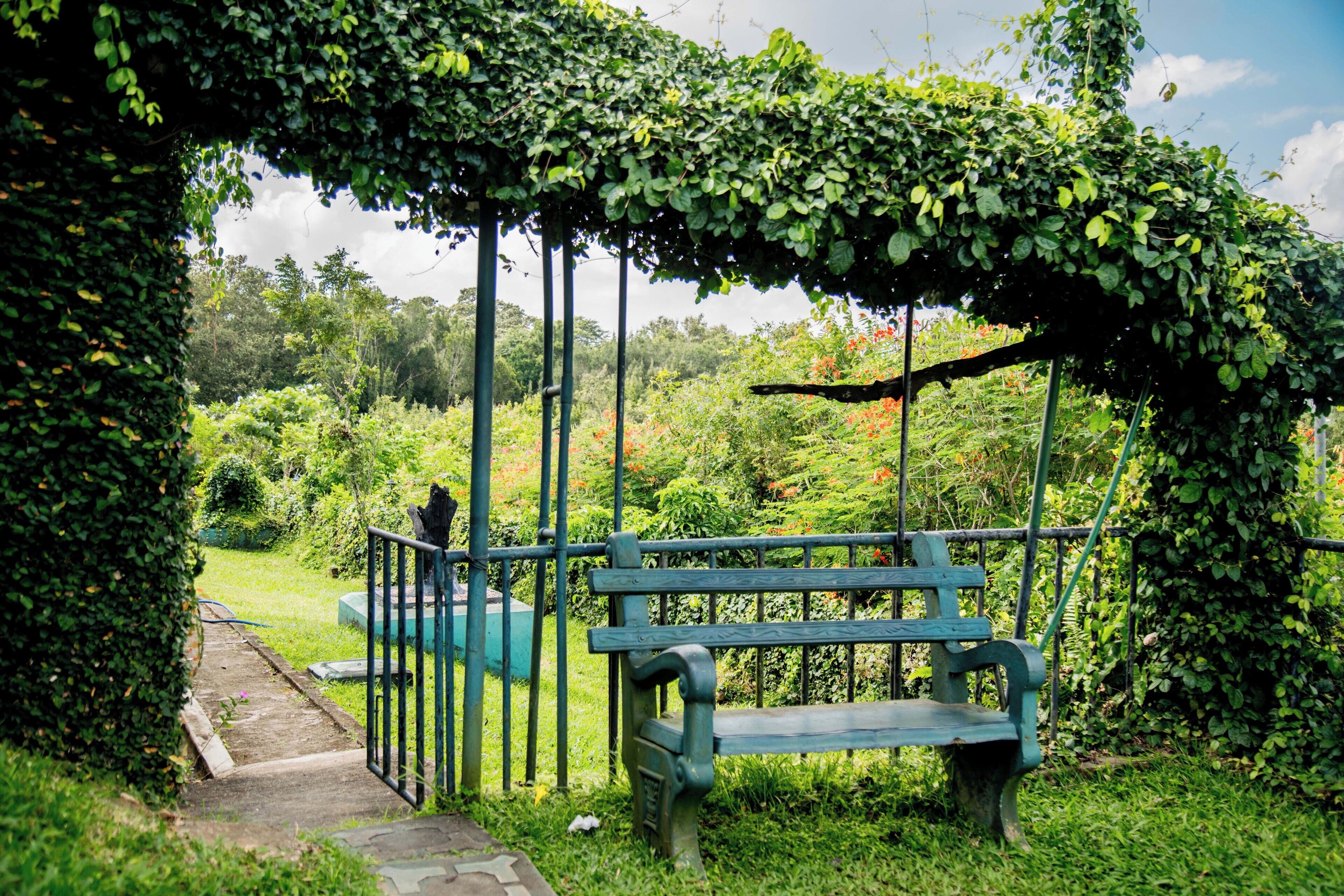 Um banco sob um arco de metal verde, com um caminho que leva até ele.