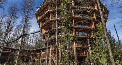 Huilo Huilo Nothofagus Hotel & Spa