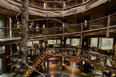 Huilo Huilo Nothofagus Hotel & Spa