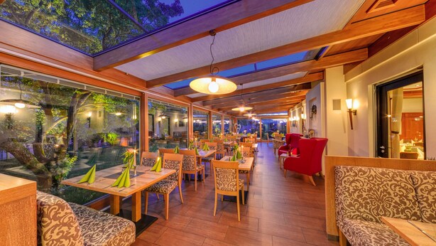 A restaurant with wooden furniture, large windows, and a high ceiling with skylights.